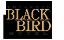 Black Bird Hotel
