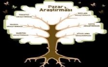 PAZAR ARAŞTIRMASI VE PAZARLAMA DESTEĞİ