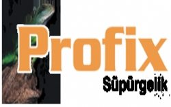 Profix Süpürgelik