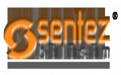 Sentez Bilişim Web Hizmetleri