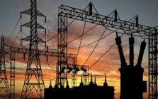 ABD Enerji Bakanlığı: ABD petrol üretimini azaltsa da düşük petro