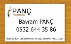 Panc Fidancılık