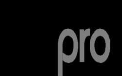Bizpro Danışmanlık