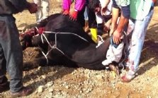 Dünyada ve Türkiye?de Verimlilik Ödülleri