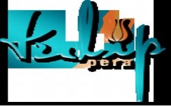 Pera Tulip Hotel