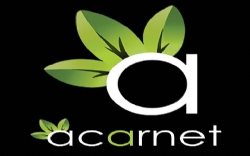 Acarnet Web Tasarım Ajansı
