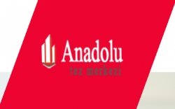 anadolu tez merkezi