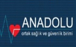 Anadolu  Danışım İş Sağlık ve Güvenlik Hiz. Ltd. Şti.