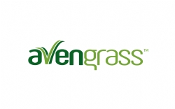 Avengrass