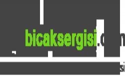 Bıçak Sergisi