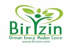 Birizin Ormancılık Mühendislik Çevre Enerji Madencilik Danış