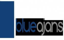 Blue Ajans
