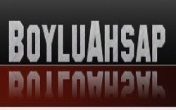 boylu ahşap