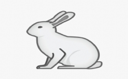 Bunny Digital Company