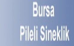 Bursa Pileli Sineklik İmalatı