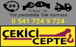 cekicicepte.com