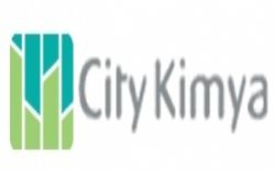 City Kimya Polielektrolit