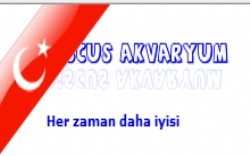 Discus Akvaryum & PetShop