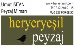heryeryeşil peyzaj