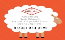 Meram Adak, Konya Meram Adaklık ve Kurbanlık Temini