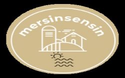 mersinsensincom