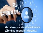 Seo Çalışmaları