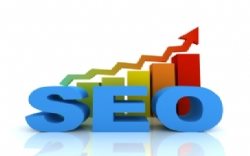 Seo Nedir