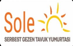 Sole Serbest Gezen Tavuk Yumurtası