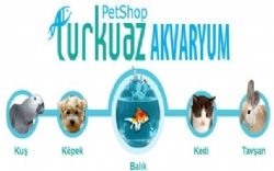 Turkuaz Akvaryum Pet Shop