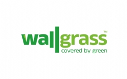 Wallgrass
